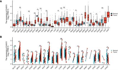 The prognostic implications and tumor-promoting functions of CHSY3 in gastric cancer